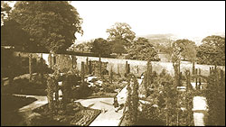 Flower Gardens, Gladstone Park, Dollis Hill c1910